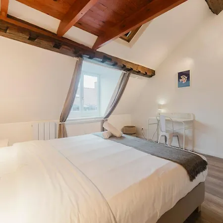 Apartmán Vieux Lille: Bright, Functional *